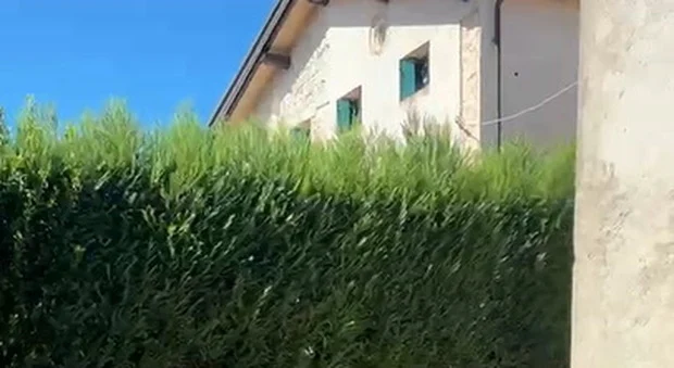 Auto incidentata e ribaltata a Borso del Grappa dopo la fuga notturna