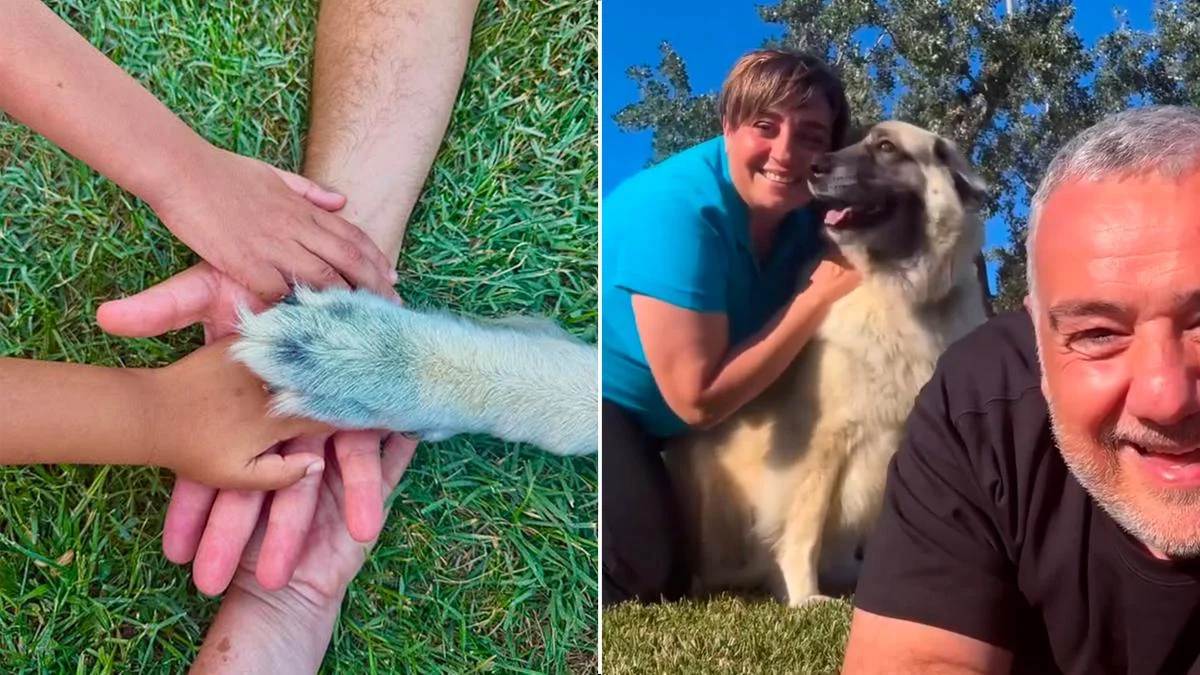 Benedetta Rossi e Marco Gentili tornano a casa con Natacha e Sharlyn: la nuova vita in 4 con il cane Cloud