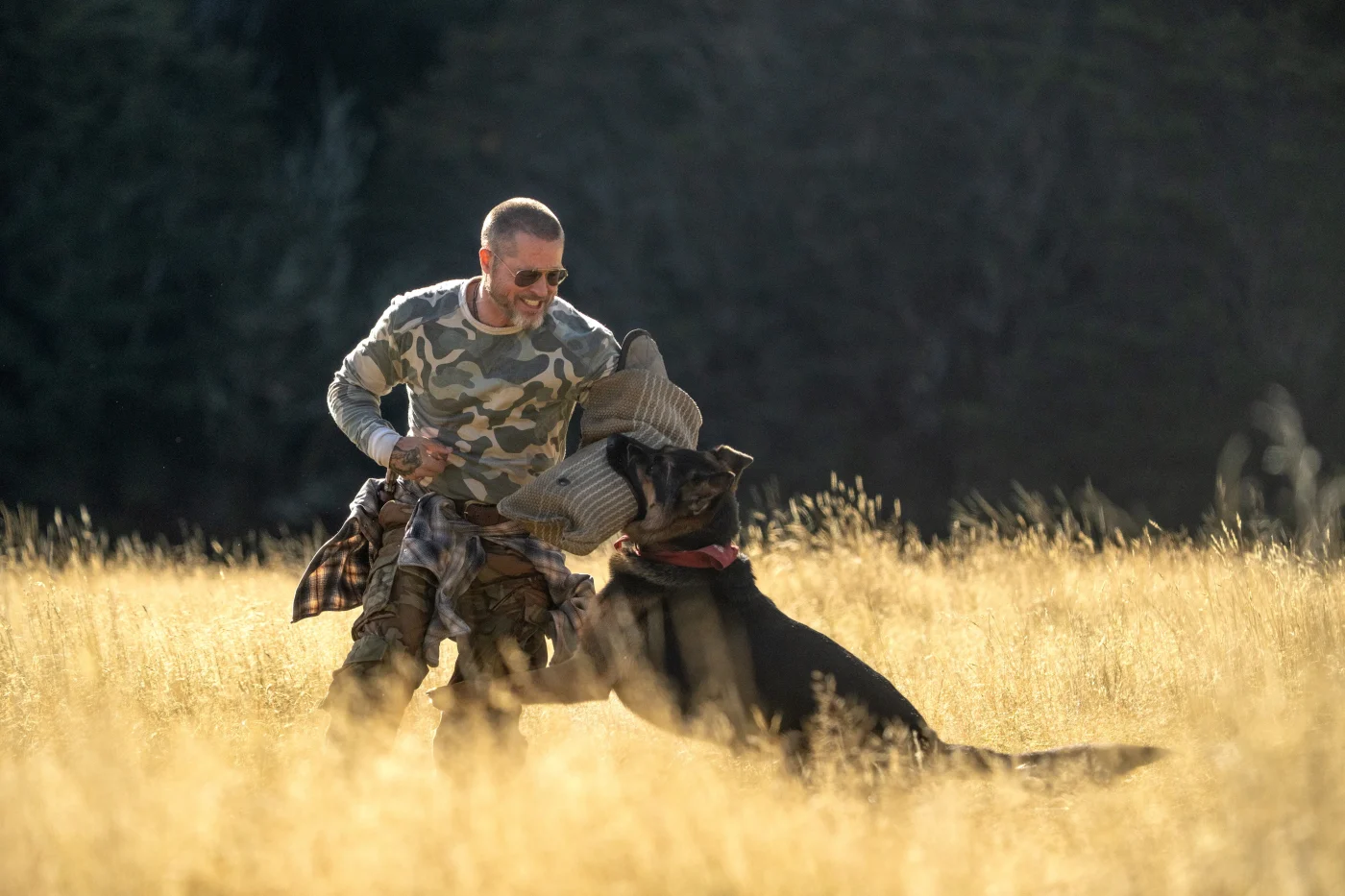 Brad Pitt Heart of the Beast film