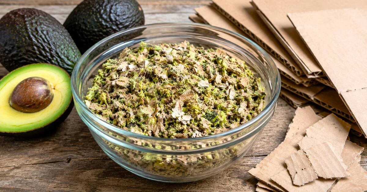Buccia di avocado e cartone: come riciclare 2 scarti per accelerare il compost