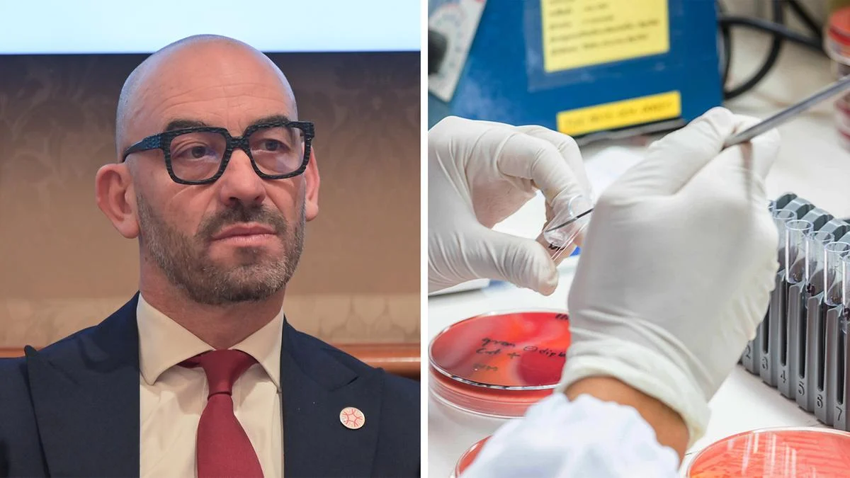 Cluster Dengue e West Nile in Italia: l'allarme di Bassetti e i sintomi da non ignorare