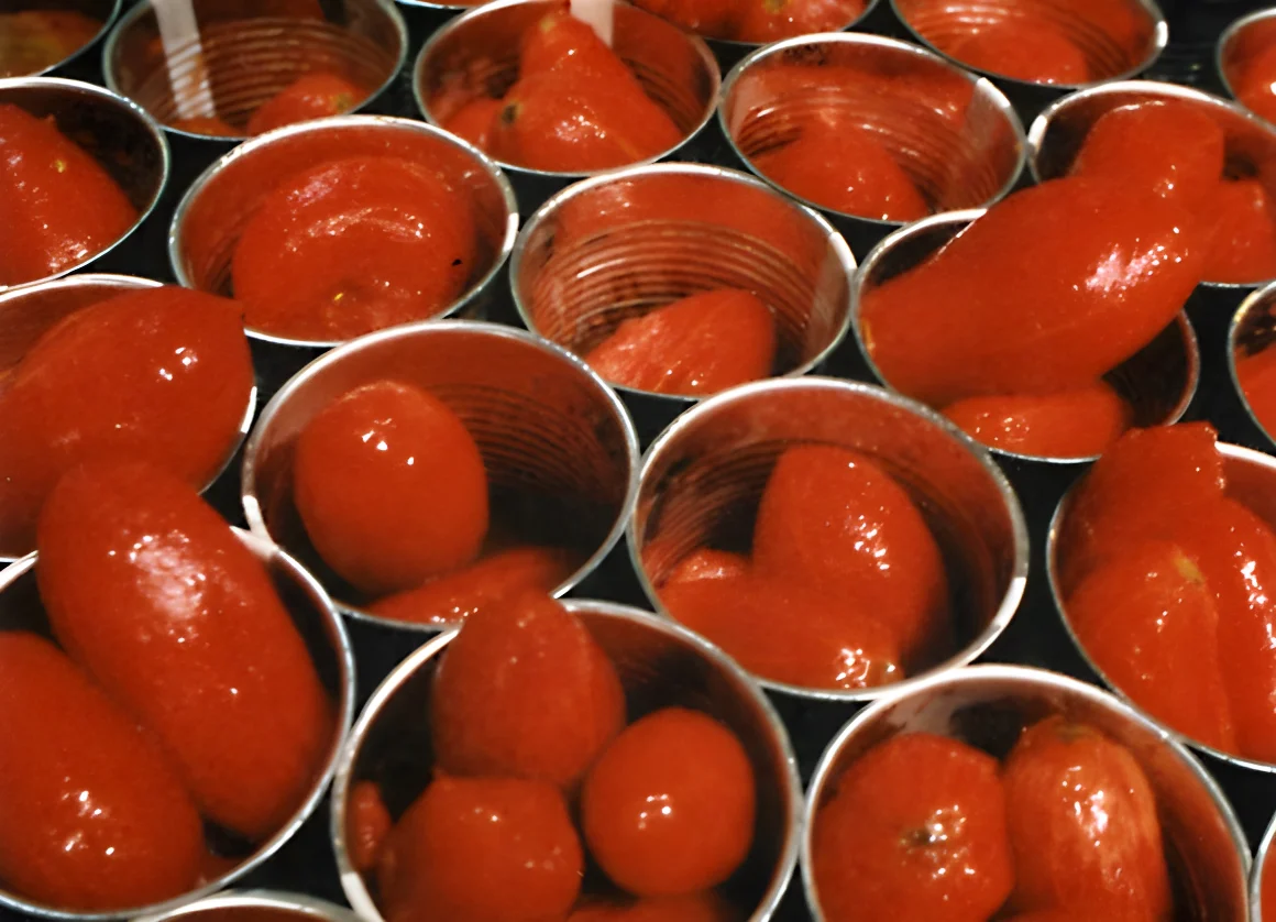 Conserve di pomodoro negli USA: l'export italiano vola a +11,4% e punta al record da 227 milioni