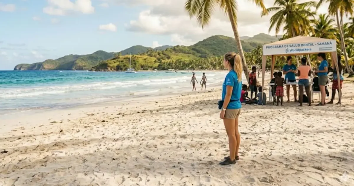 Costa Rica cerca volontari: vitto e alloggio inclusi per prendersi cura di bradipi e scimmie salvati
