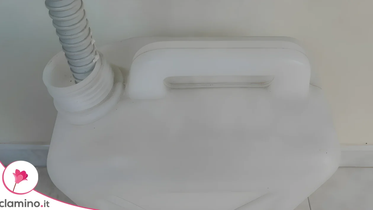 Acqua del condizionatore per le piante: 4 modi per riutilizzarla e l'errore grave con l'orto
