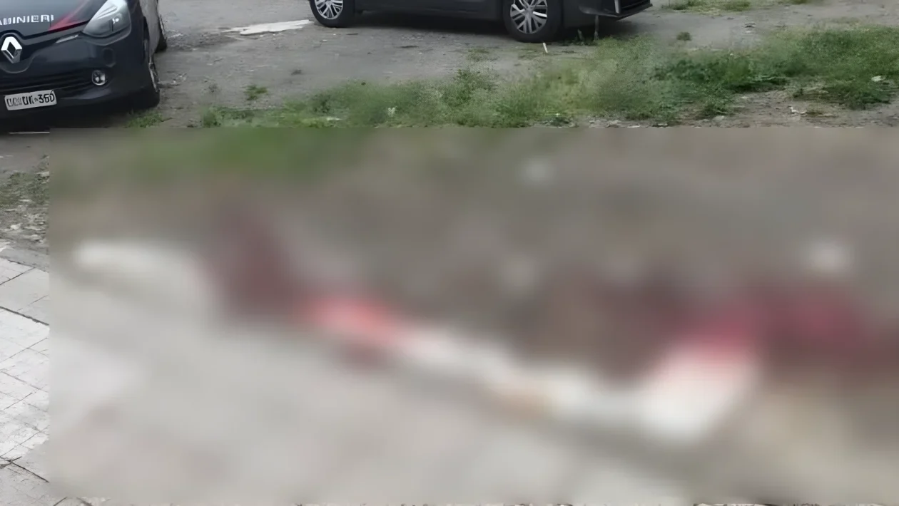 Bologna, bimba di 6 anni accerchiata e presa a calci da 5 minori al parco San Donnino