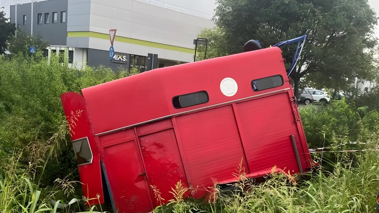 Carrello con cavallo finisce nel fosso ed entra in avaria un autocarro: doppio allarme a Reggio Emilia