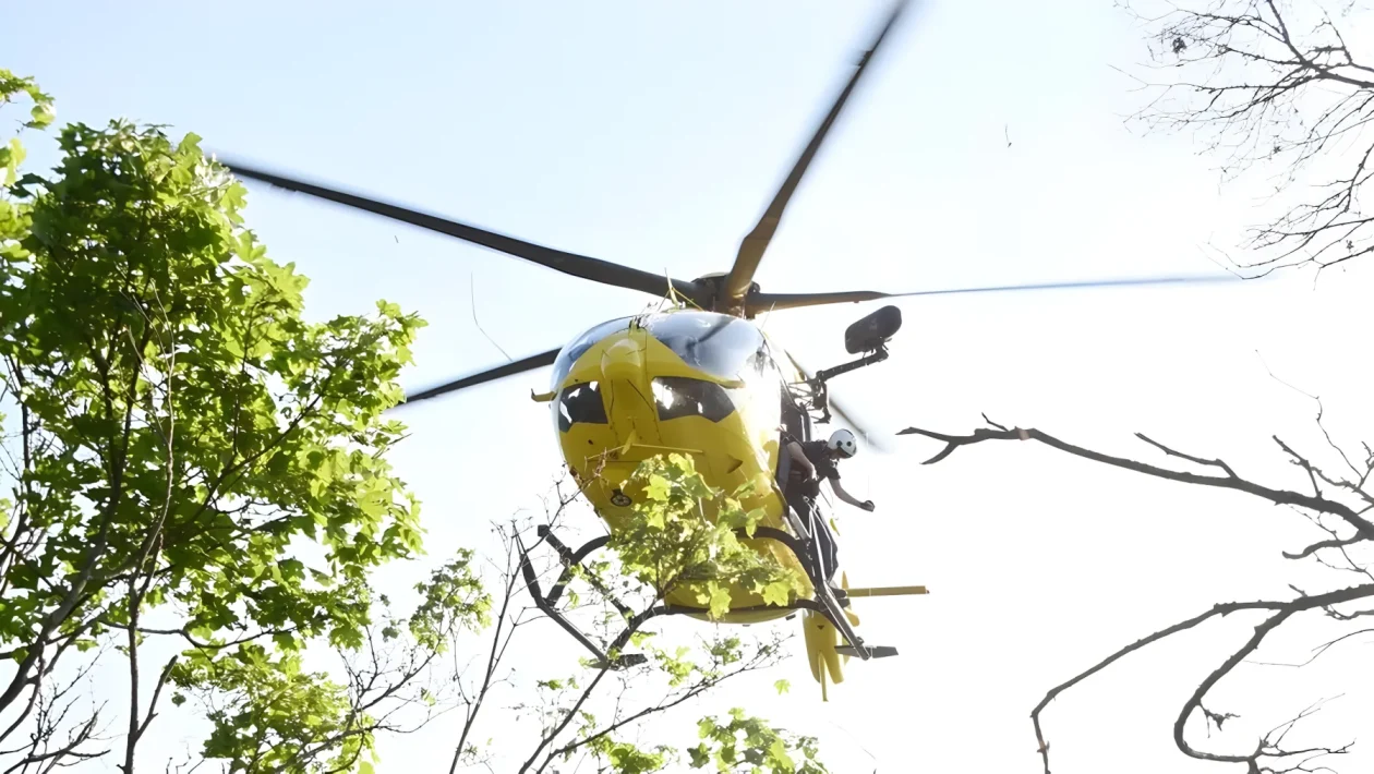 Incidente sul lavoro tra Alcamo e Grisì: 67enne muore nella vendemmiatrice, un ferito grave