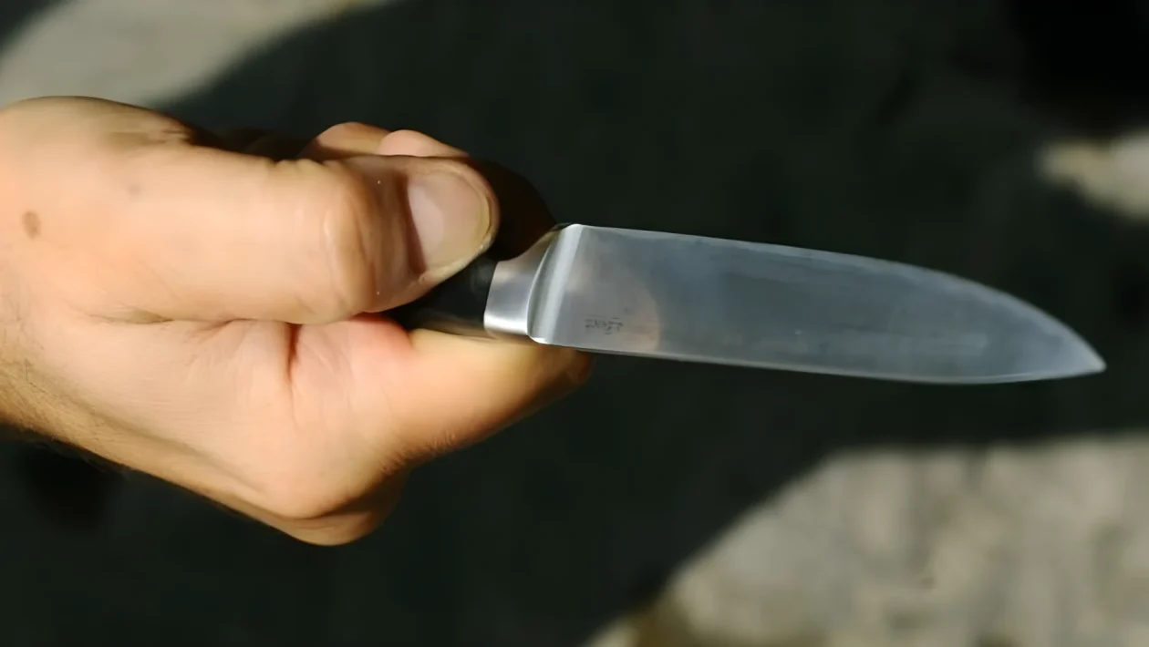 Ladispoli, 3 familiari accoltellati in casa: indagato per tentato omicidio il figlio di 30 anni