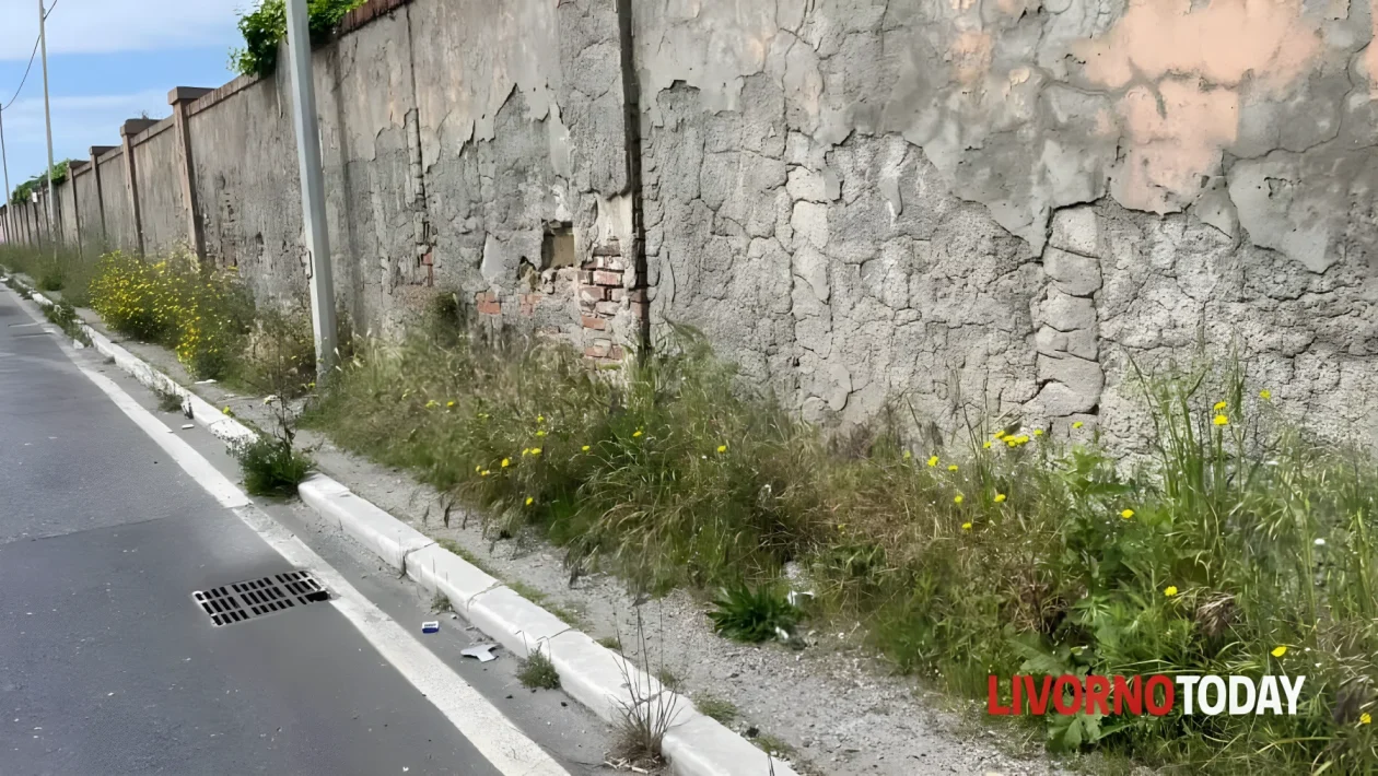 Livorno stanzia 1,7 milioni di euro contro le erbacce: piano straordinario per ripulire la città in 60 giorni