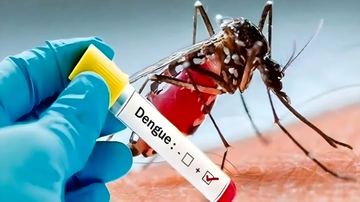 Monza, due casi sospetti di Dengue: disinfestazione straordinaria su 200 metri in due quartieri
