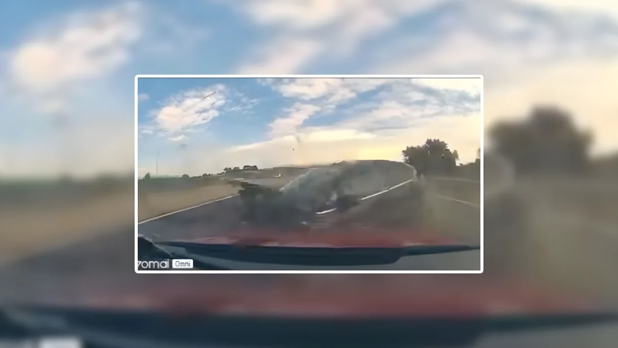 Tangenziale di Torino: il video dashcam svela la catena di infrazioni dietro lo schianto