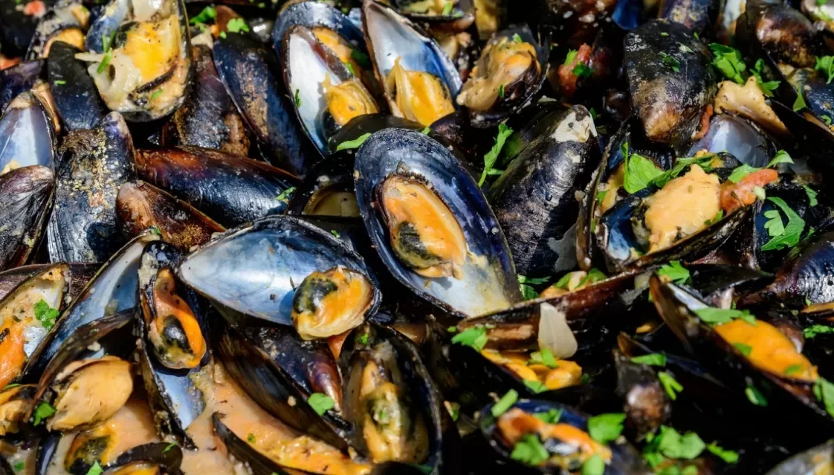 Cozze e la regola dei mesi con la R: perché filtrano 20 litri d'acqua al giorno e cosa cambia a tavola