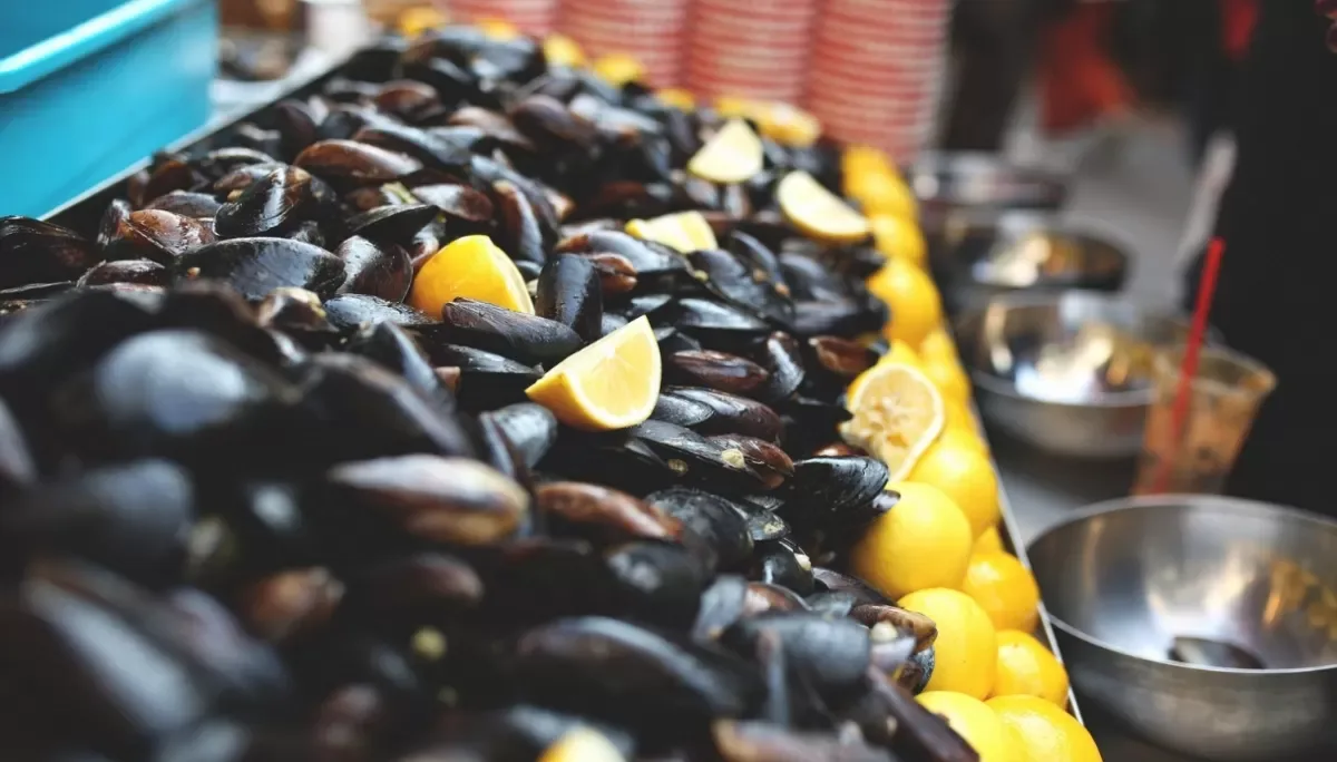 Cozze fresche sul bancone