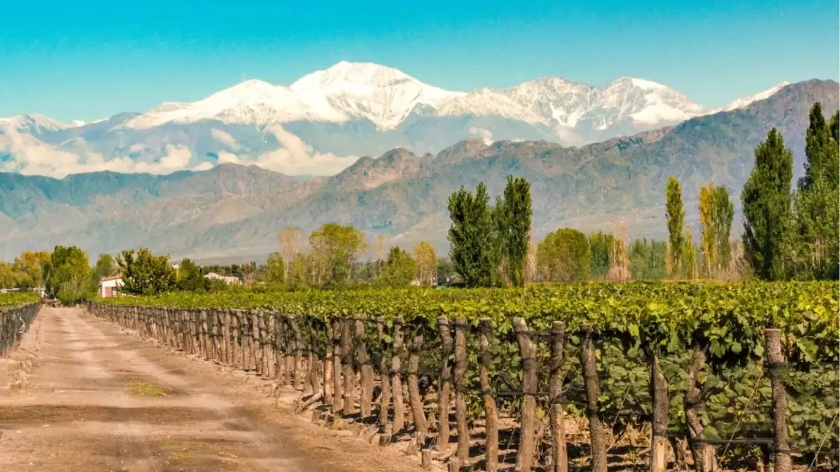 Cuánto sale una escapada a Mendoza el próximo fin de semana largo