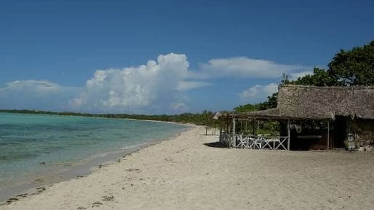 Dengue a San Vendemiano: paziente ricoverata dopo un viaggio a Cuba, scatta la disinfestazione su 200 metri