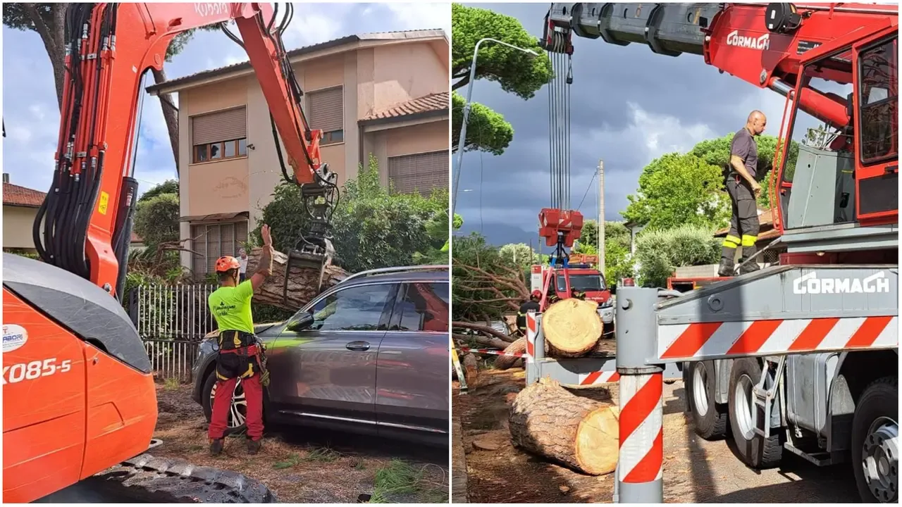 Due immagini, fornite dal Comune di Pietrasanta, degli interventi post maltempo in città. Sono crollati circa cento alberi