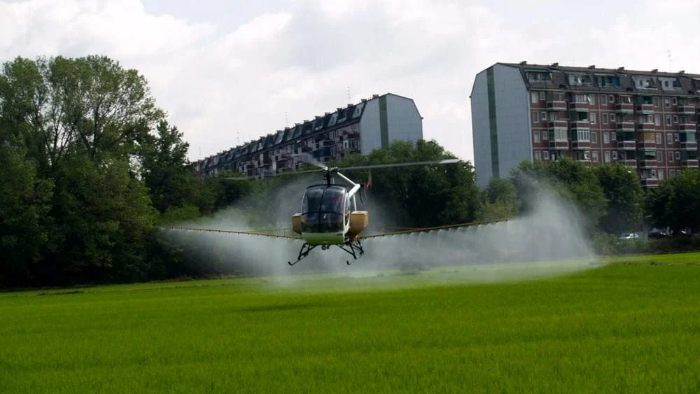 Focolaio di West Nile a Rho: scatta la disinfestazione d'urgenza in un raggio di 200 metri
