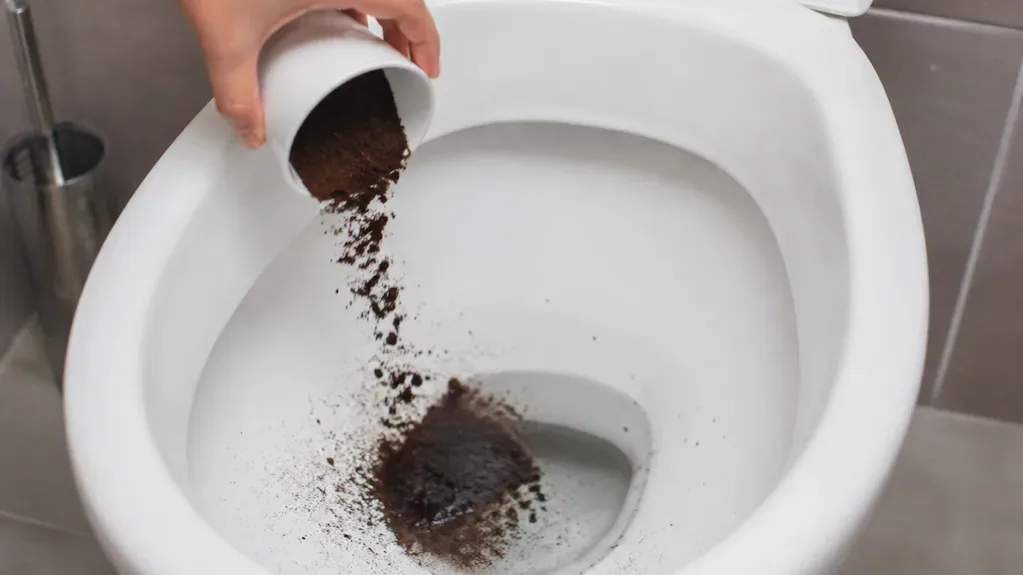 Fondi di caffè nel WC contro i cattivi odori: come usarne 2 cucchiai ed evitare rischi