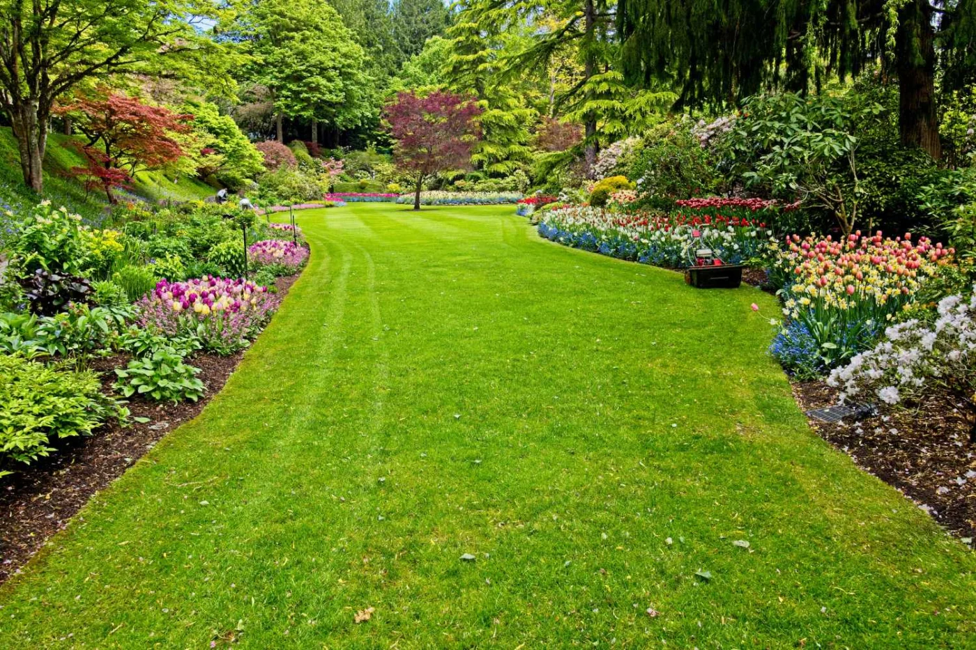 igiene giardino