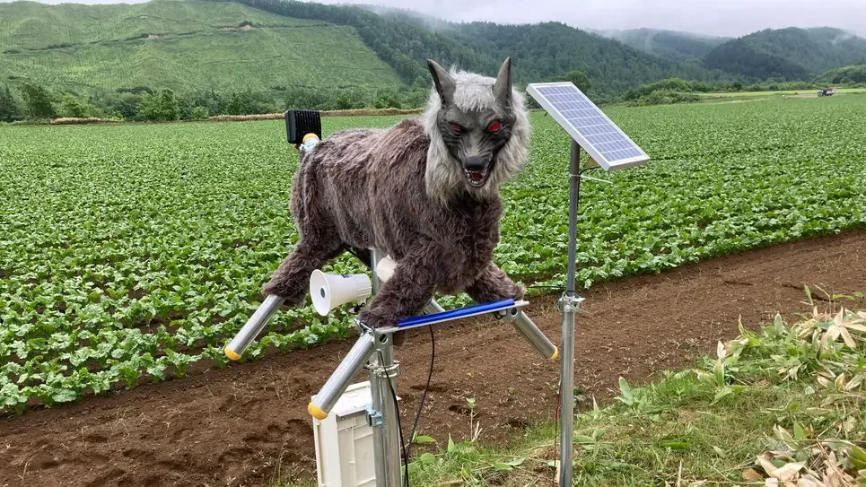 Il Monster Wolf della Wolf Kamui Co. efficace anche contro gli orsi