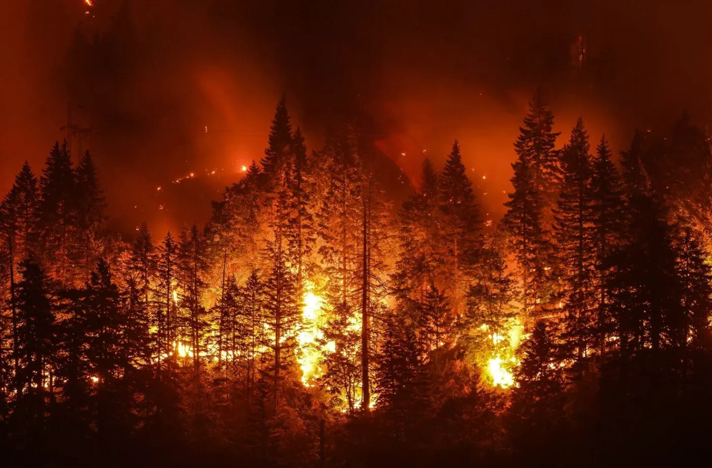 Incendi in Italia nel 2026: oltre 95.000 ettari distrutti e il 98% dei roghi causato dall'uomo