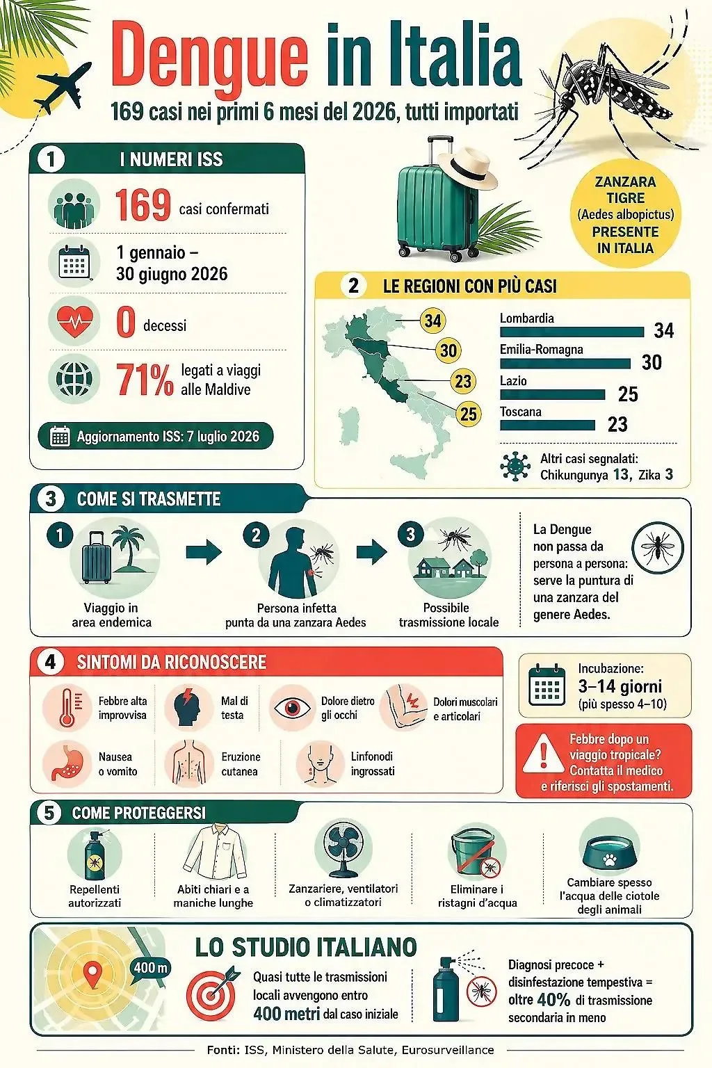 Infografica Dengue