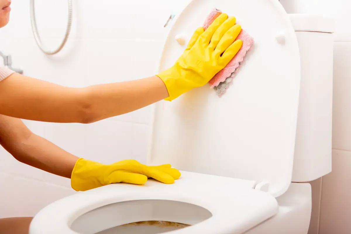 L'acido citrico può aiutare a pulire in profondità il wc.