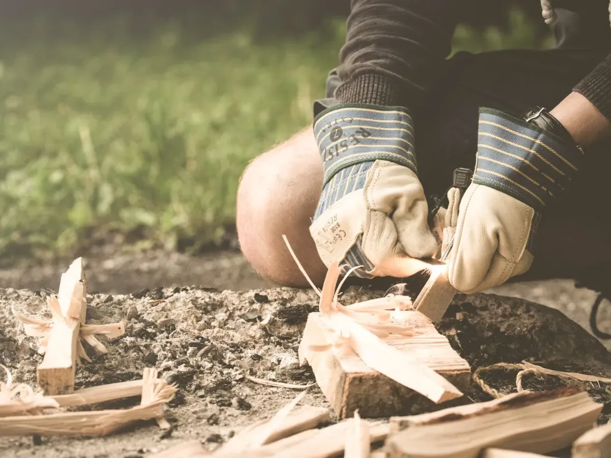 Lemne pentru foc - Foto: Pexels (Imagine cu rol ilustrativ)