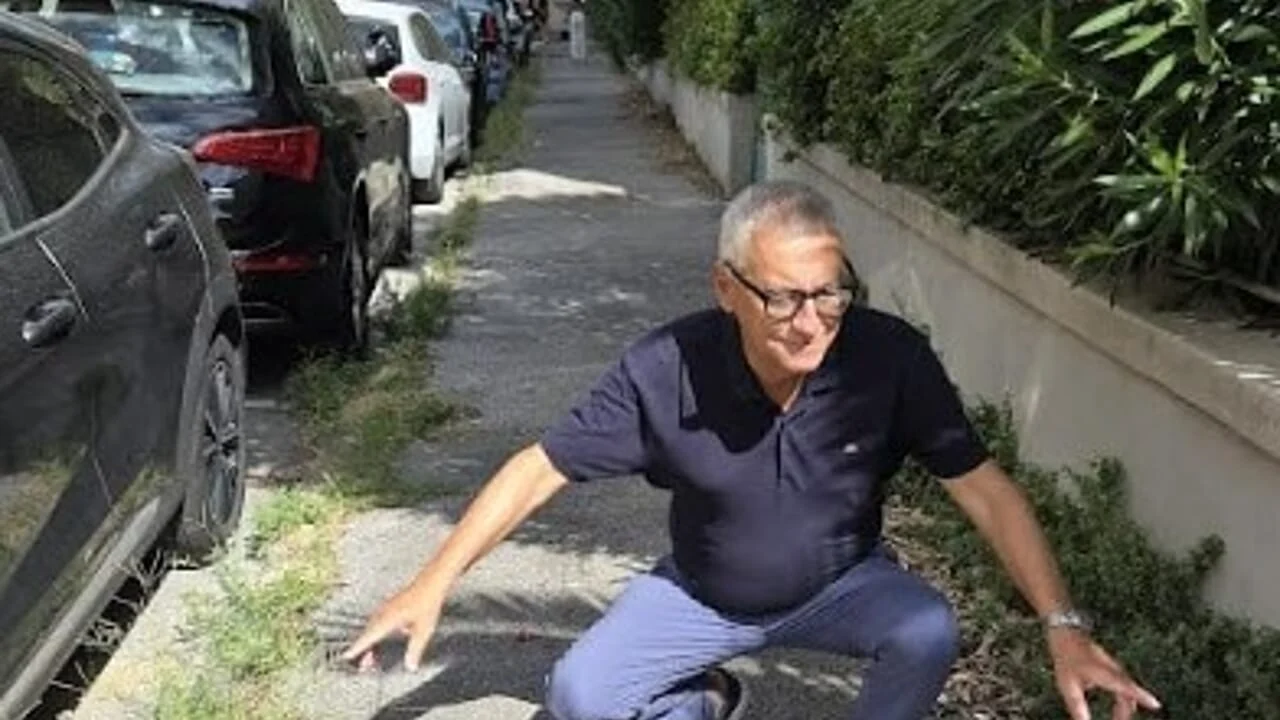 Livorno, erbacce e marciapiedi dissestati: Forza Italia presenta una mozione per un piano straordinario