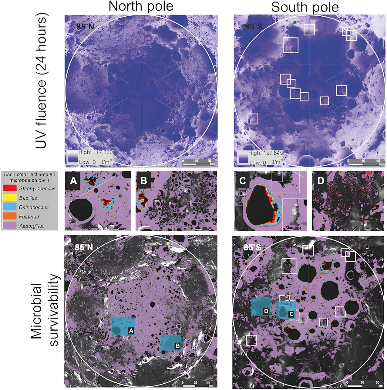 mappa contaminazione microbica luna