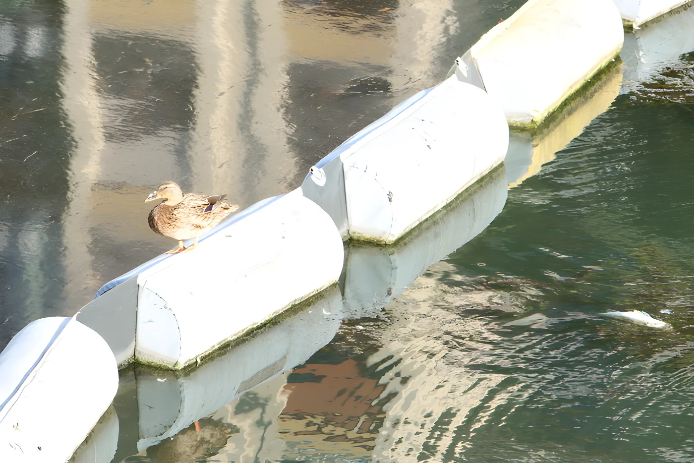 Migliora la situazione nel Naviglio, sostituiti i pannelli assorbenti