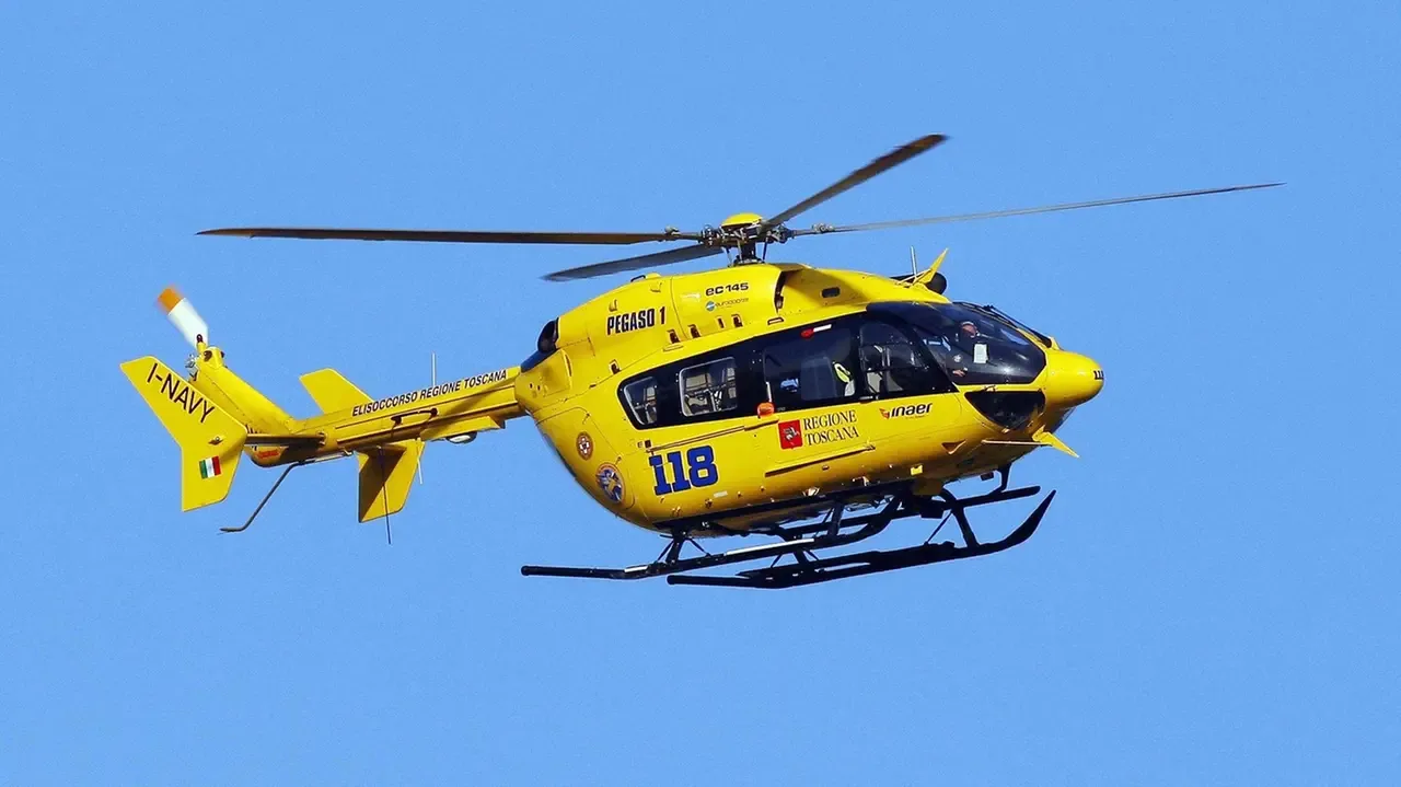 Pegaso in volo