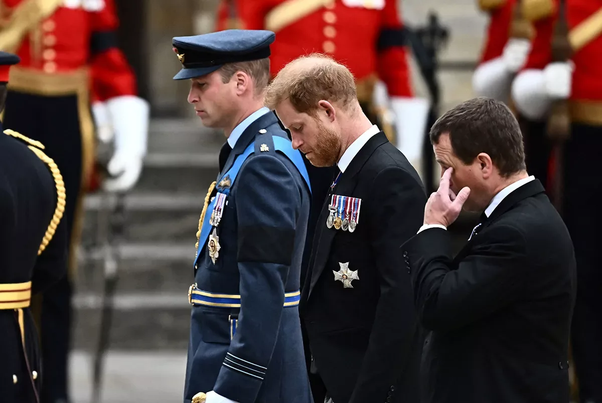 prince harry/ william