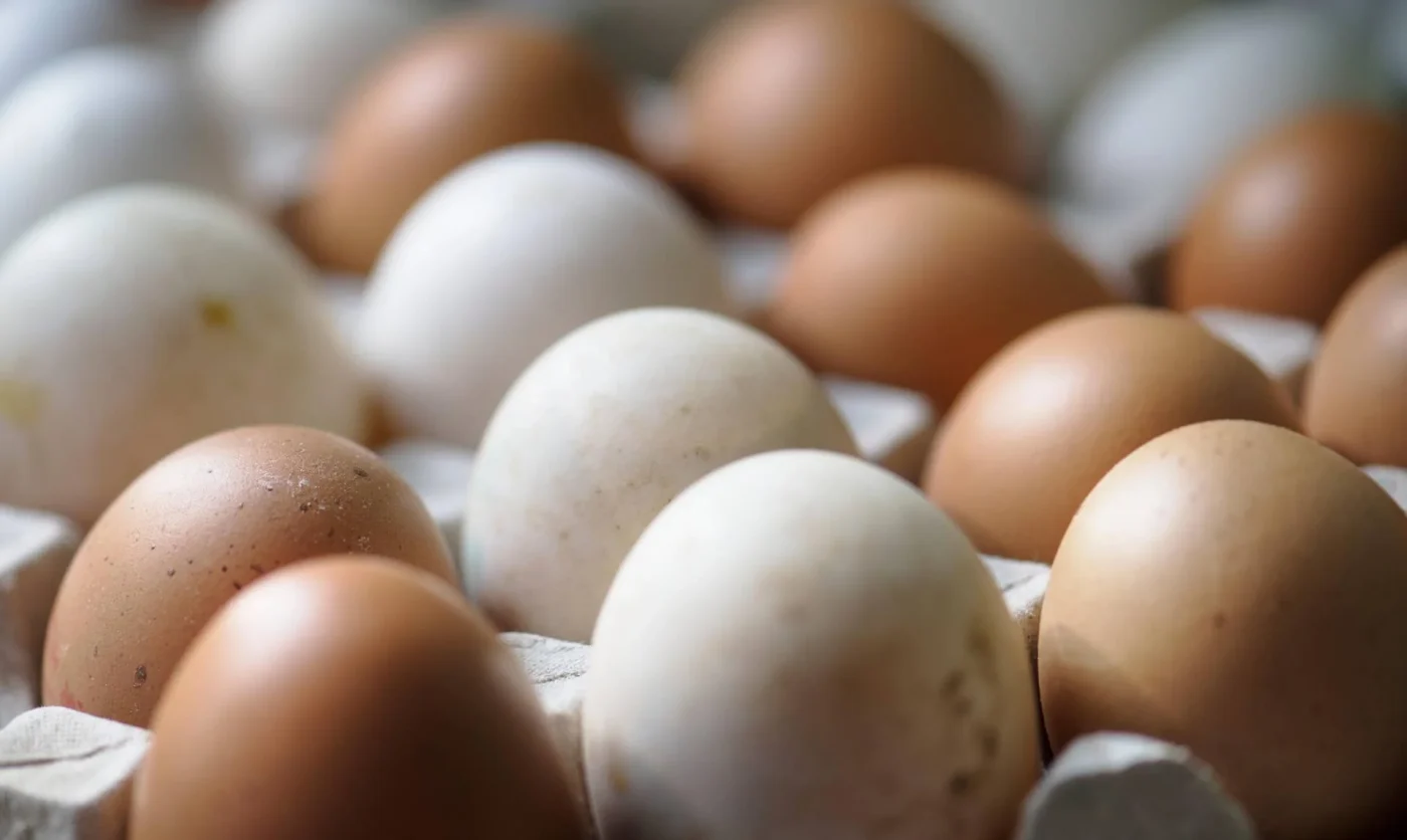 Richiamo uova Selex: lotto ritirato per rischio salmonella sul guscio