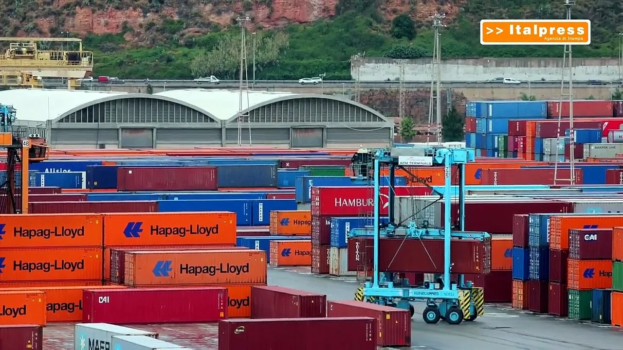 Riforma delle dogane, nuove regole per l’e-commerce