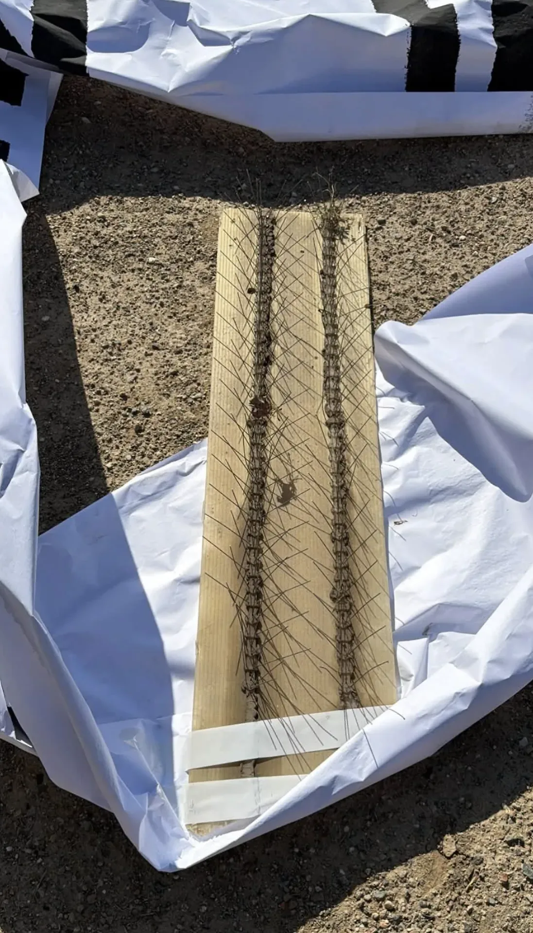 Scatole di fuochi d'artificio e rifiuti lasciati nella rotonda