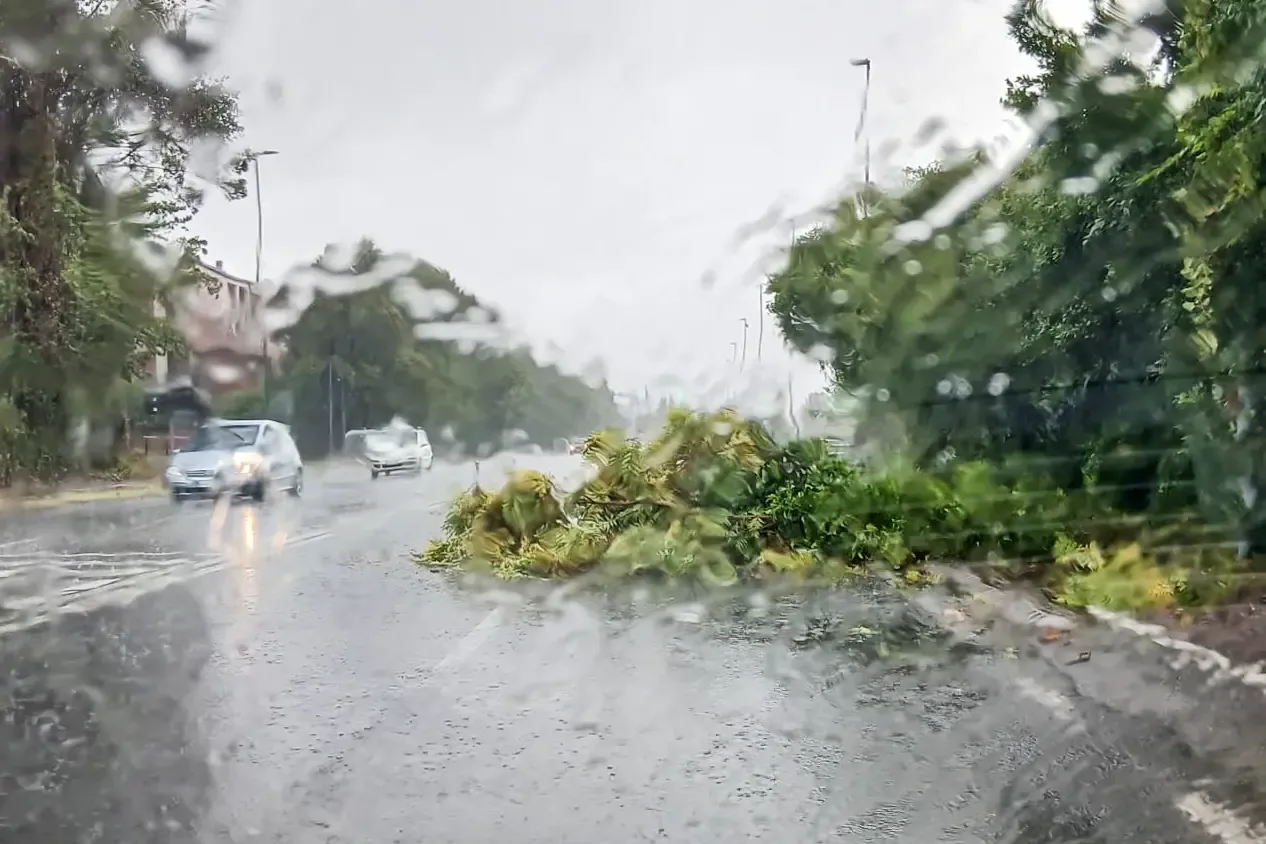 SESTO FIORENTINO MALTEMPO PIOGGIA VENTO DANNI