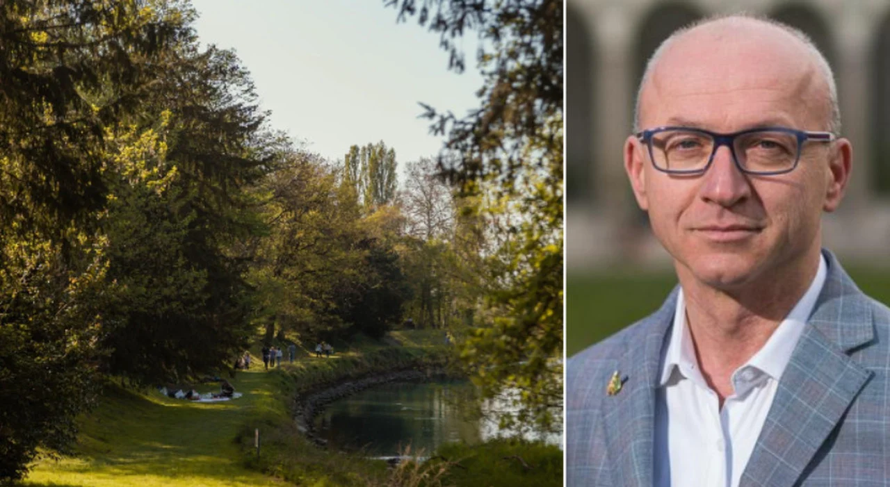 Topi a Villa Varda: la segnalazione social e la risposta del Comune di Brugnera