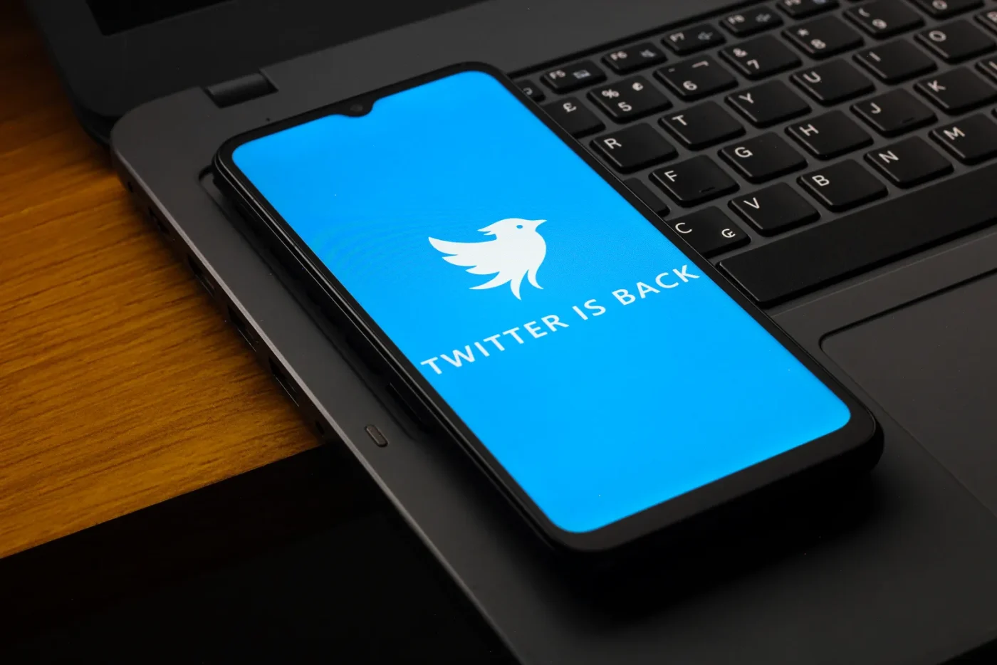 twitter now stephen coats social network