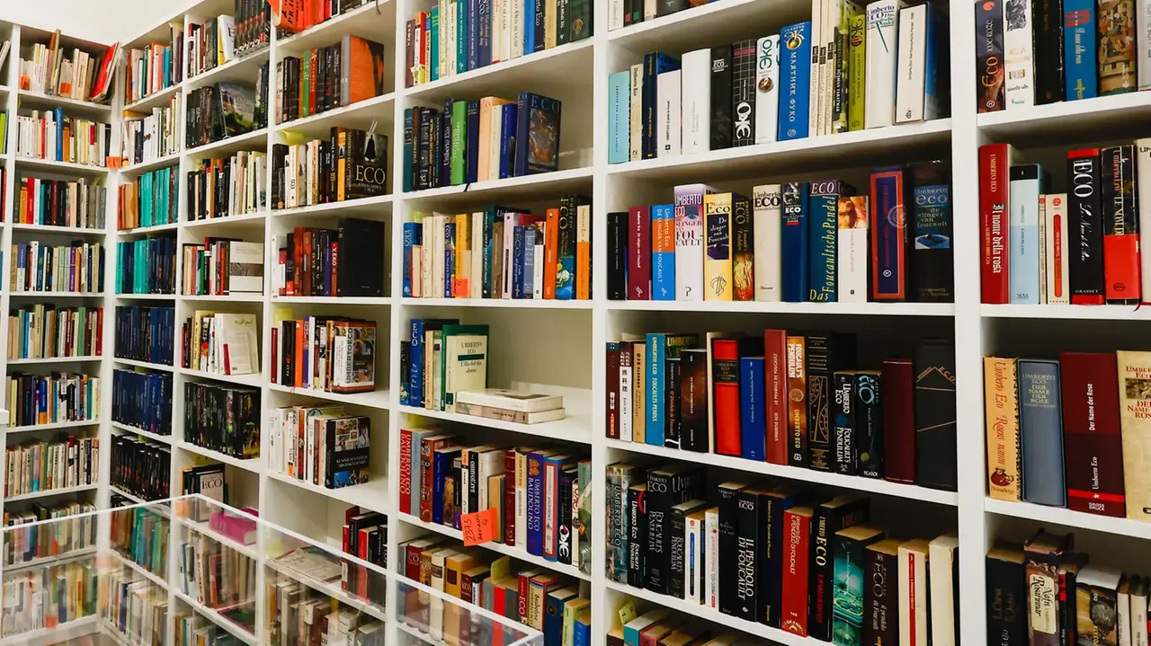 Uno scaffale della biblioteca Umberto Eco a Bologna (Fotoschicchi)