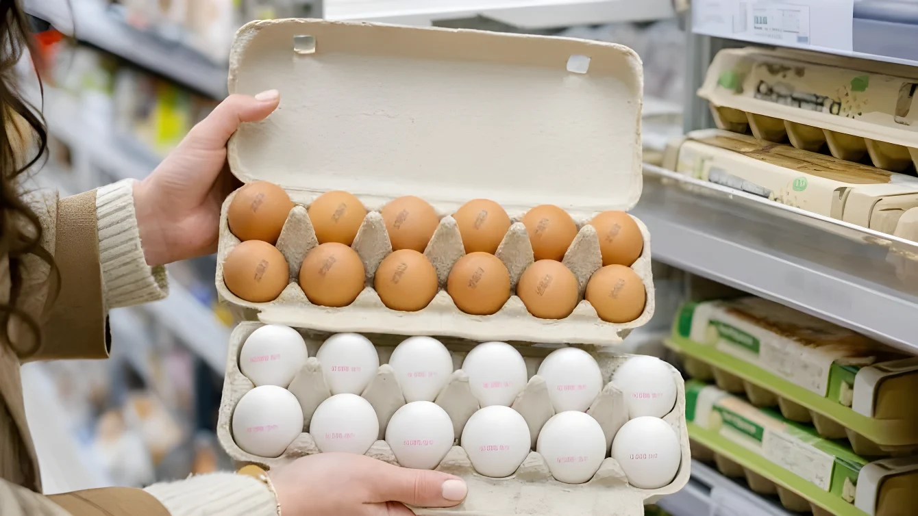 Uova bianche o marroni: cosa rivela il codice da 0 a 3 stampato sul guscio