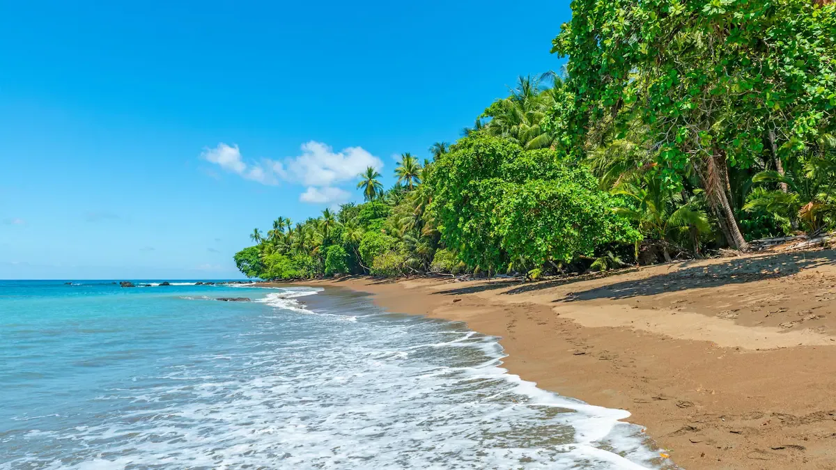 Vivir en plena naturaleza de Costa Rica, con habitación propia y todas las comidas cubiertas, a cambio de cuidar animales.