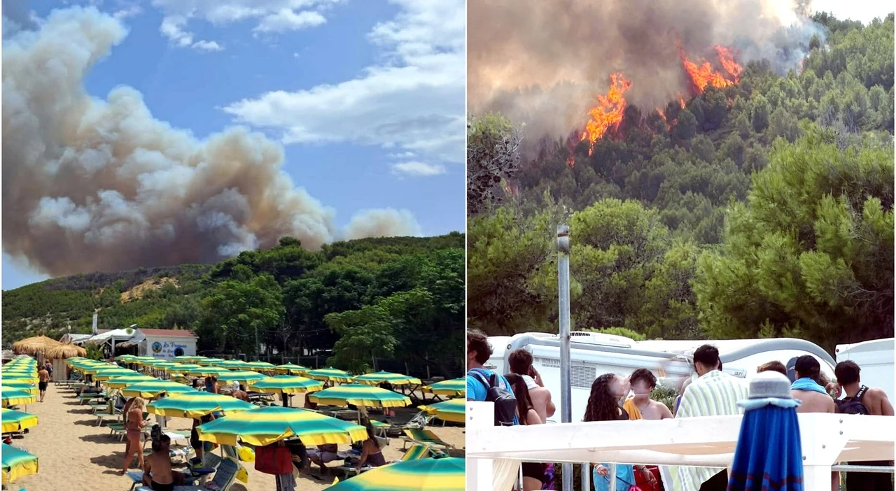 Volontario antincendio arrestato nel Gargano: accusato di aver appiccato 8 roghi tra Vieste e Peschici