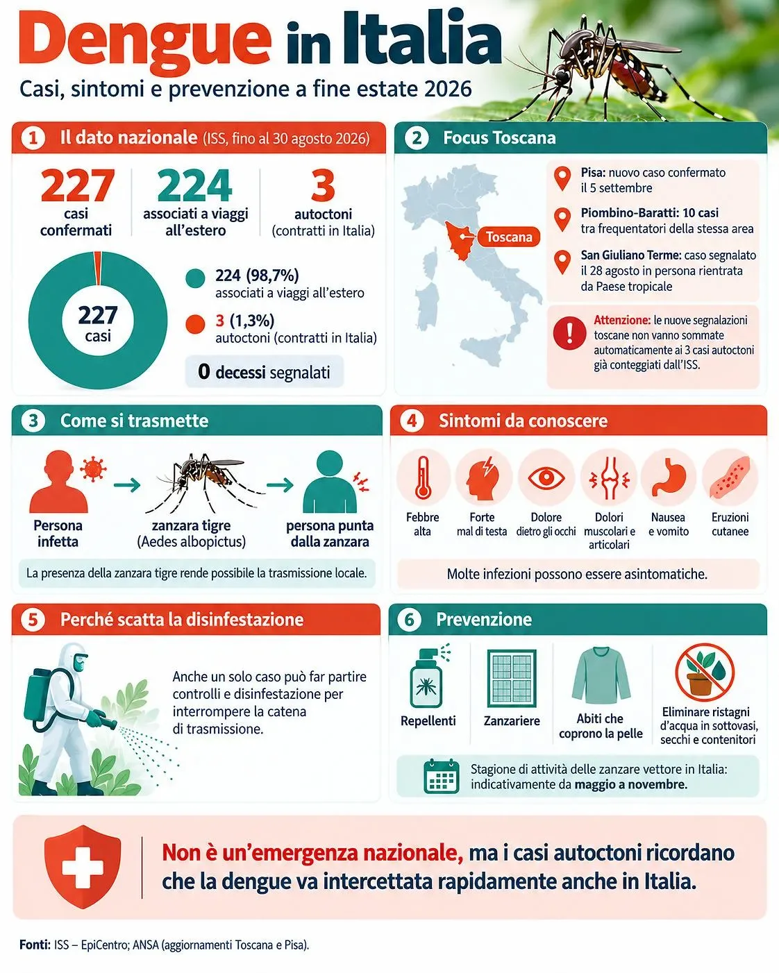 Zanzara tigre vettore del virus della Dengue