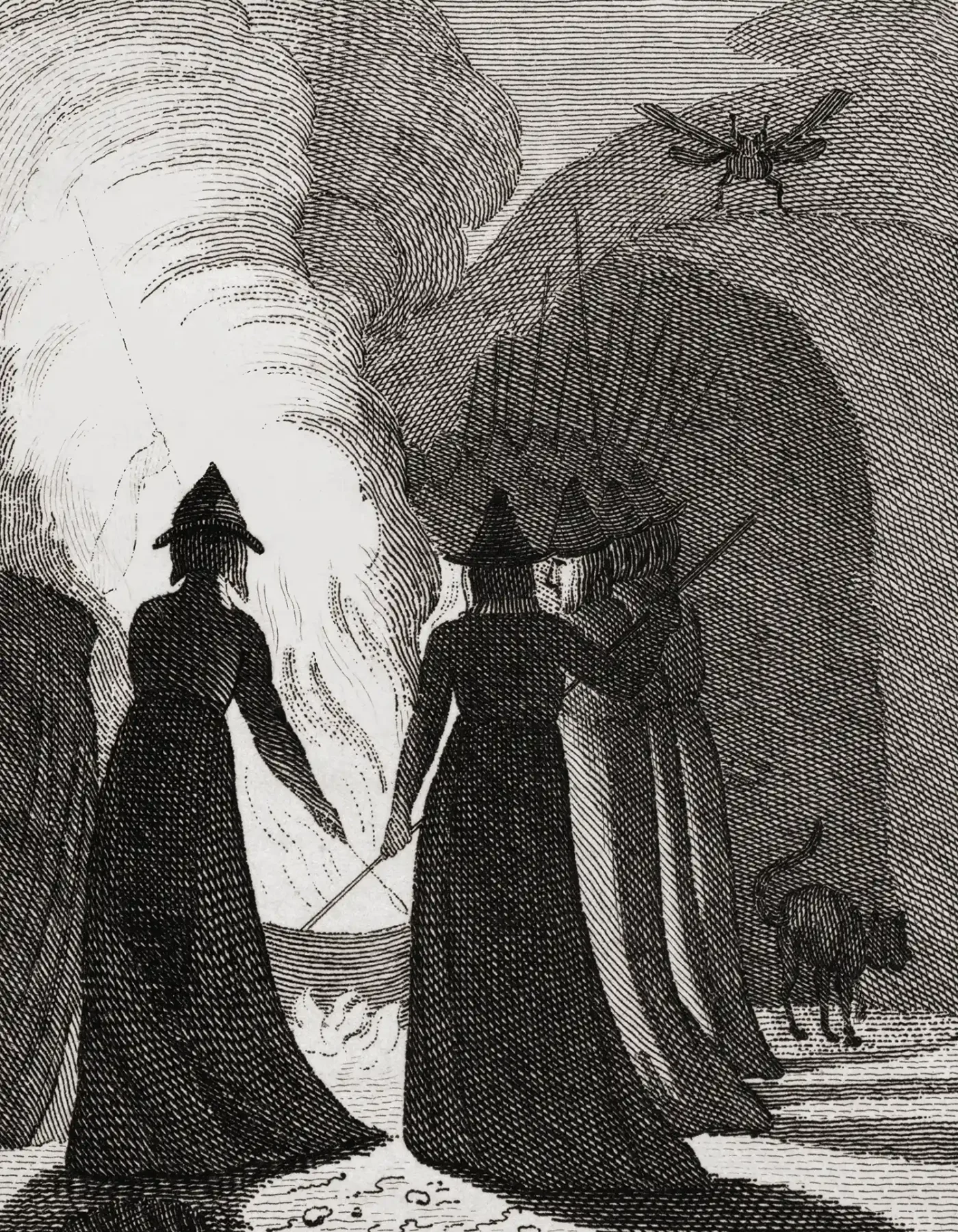A coven of witches around a cauldron. Witches were said to prepare their secret potions in a cauldron