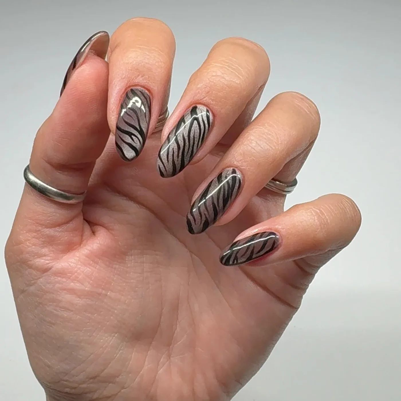 A hand wearing rings with nails styled in a zebra stripe pattern
