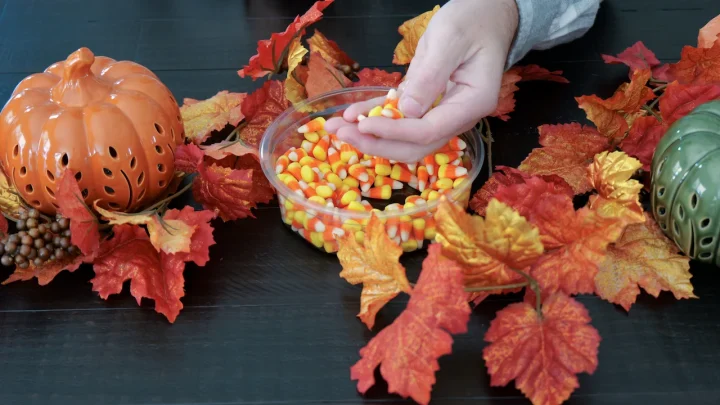 Before It Became America’s Most Polarizing Halloween Treat, Candy Corn Was Marketed as Literal Chicken Feed