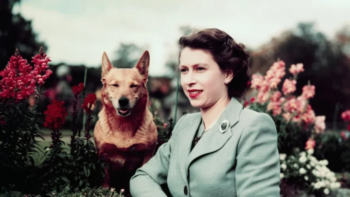 Before the Crown: Rare Photos and Untold Details of Princess Elizabeth’s Life Before Taking the Throne at 25