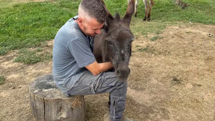 From Layoff to Lifesaver: How One Man Rescued Nearly 500 Donkeys and Built the First Dedicated Equine Hospital of Its Kind