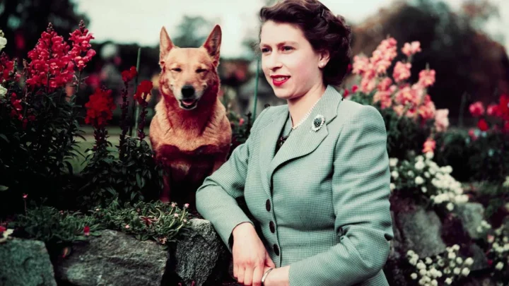 Inside Balmoral Castle: Why Queen Elizabeth Chose Scotland Over London for Her Final Days—and the Funeral Concern That Almost Kept Her Away